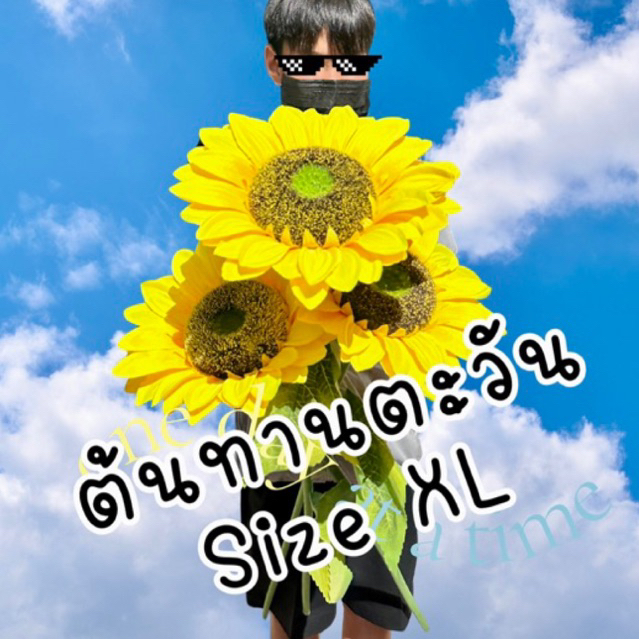 ดอกทานตะวัน XL ต้นทานตะวัน ประดิษฐ์ พร้อมส่งจากไทย  กรีบดอกยับให้ใช้ไดร์ร้อนเป่า ดอกทานตะวันใหญ่