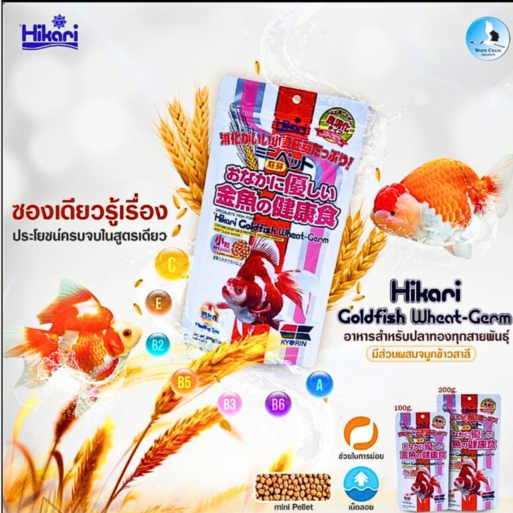 ล๊อตใหม่ Hikari Wheat Germ อาหารปลาทอง สูตรผสมจมูกข้าวสาลี ย่อยง่าย ผิวขาวกระจ่างใส น้ำไม่ขุ่น