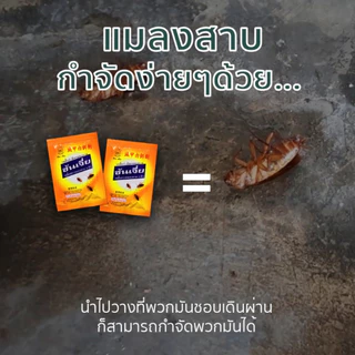 ซันเจี่ย เหยื่อกำจัดแมลงสาบ ยาฆ่าแมลงสาบ ของแท้ 100% เหยื่อตราแมลงสาบ 3 ตัว สินค้าพร้อมส่ง