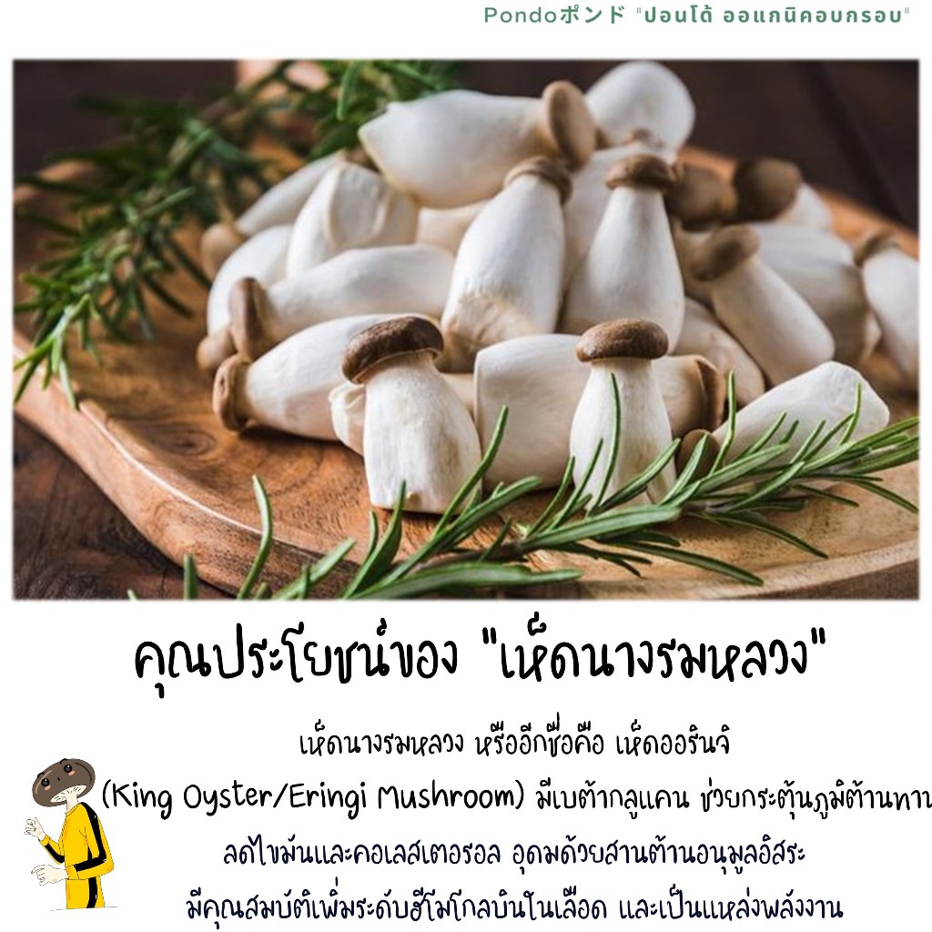 เห็ดนางรมหลวงอบกรอบ 