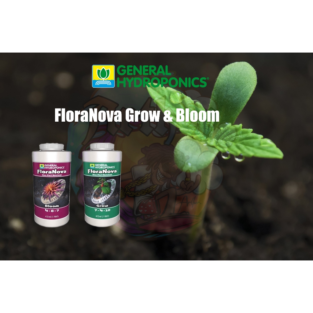 FloraNova Grow & Bloom ปุ๋ยหลักใช้ได้ทุกช่วงตั้งแต่เริ่มจนจบ 473 ML (1 Pint)