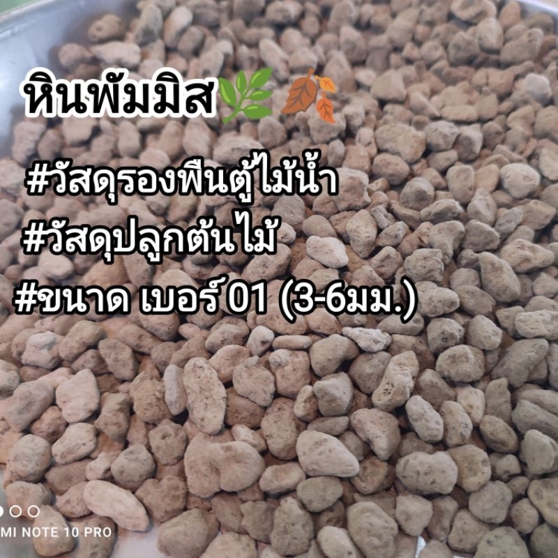 หินพัมมิส รองพื้นตู้ไม้น้ำ วัสดุกรองน้ำ 500g.