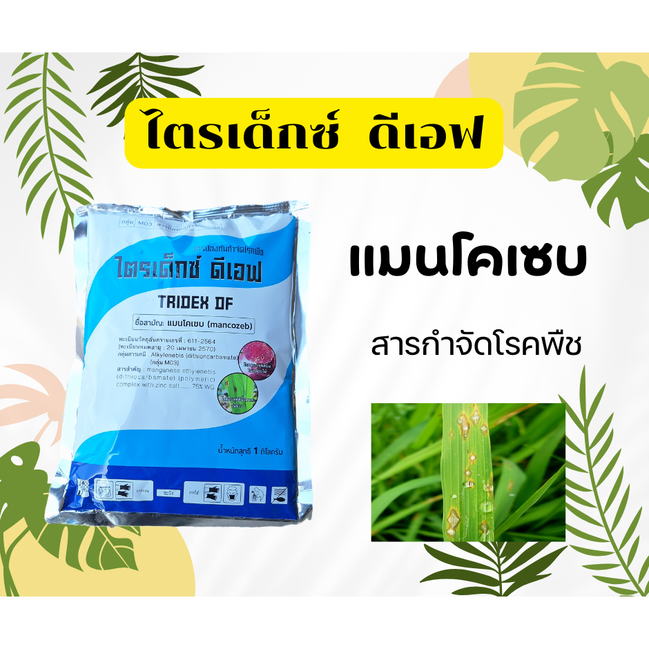 ไตรเด็กซ์ Tridex แมนโคเซบ 75% WG ชนิดเม็ด 1 กก. สารกำจัดโรคพืช เน่า ราน้ำค้าง ใบจุด ใบไหม้ [5-012]