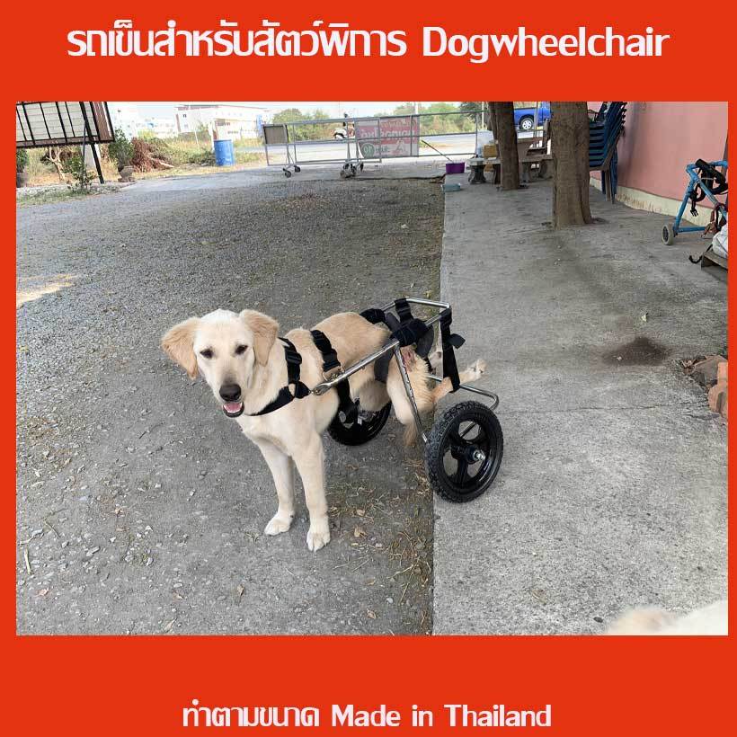 รถเข็นสำหรับสัตว์พิการแบบ 2 ล้อ dog wheelchair ล้อเลื่อนสำหรับสุนัขพิการขาหลัง