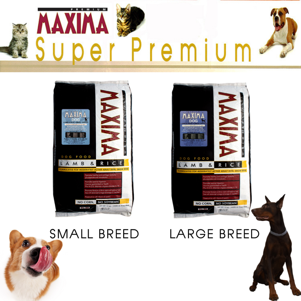 🧧ส่งฟรี🧧 DOG FOOD MAXIMA MAINTENANCE 15 KG.
