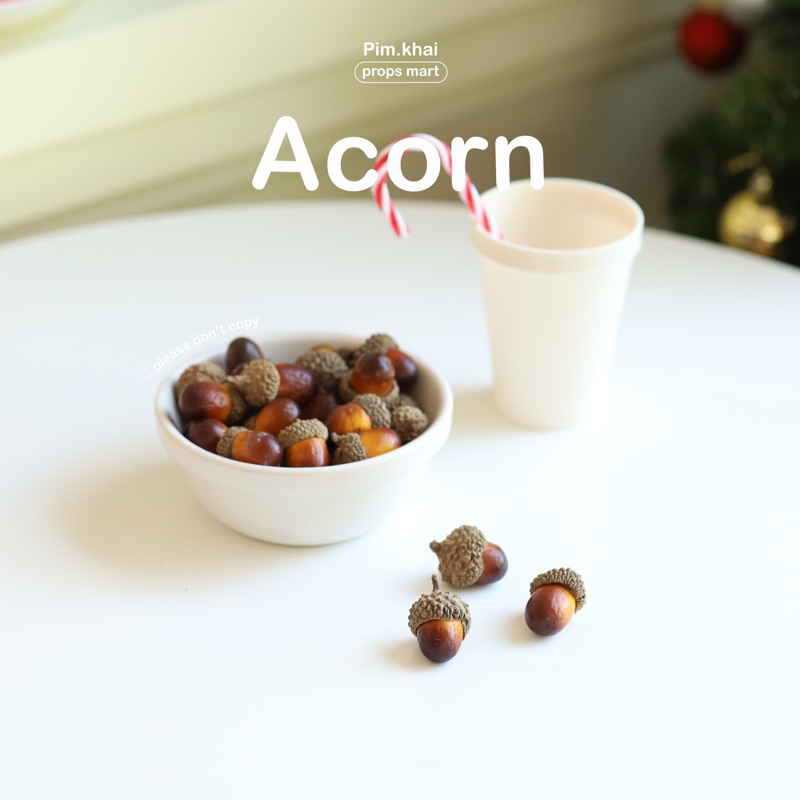 Acorn เอคอร์น ลูกโอ๊ค 🥜 | พร็อพถ่ายรูป