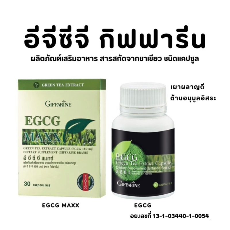 [ ของแท้ 100% ] EGCG MAXX GIFFARINE อีจีซีจี แมกซ์ กิฟฟารีน สารสกัดชาเขียว ชาเขียวลดน้ำหนัก ควบคุมน้ำหนัก