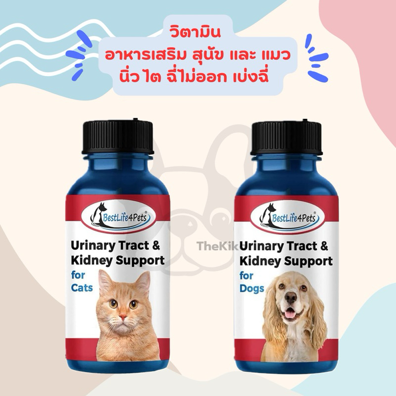 วิตามิน อาหารเสริม สุนัข แมว หมา Urinary Tract ทางเดินปัส สาวะ ฉี่ไม่ออก ลดอาการเบ่งฉี่ นิ่ว ระบบไต สำหรับแมว