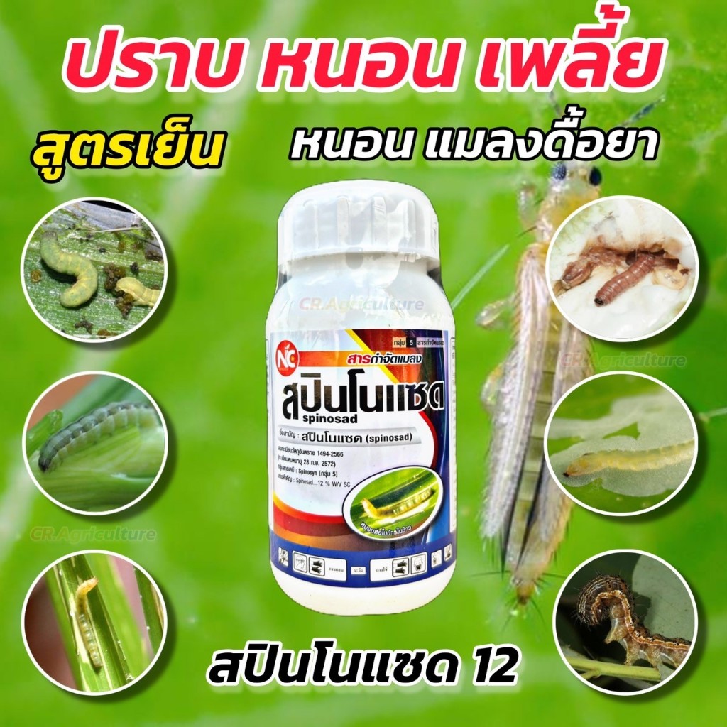 สปินโนแซด12 (spinosad..12%SC) ยาเย็น กำจัดหนอนและเพลี้ยไฟ ทั้งถูกตัวตายกินตาย ยาหนอน ยาเพลี้ย ขนาด 2