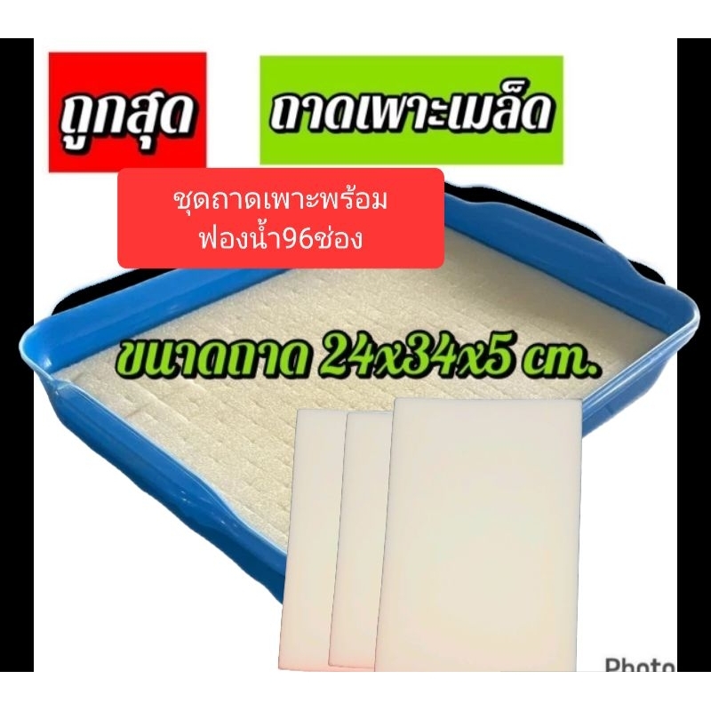 ชุดถาดเพาะเมล็ดพร้อมฟองน้ำ96ช่อง