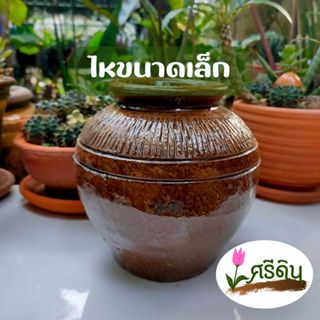 ไหดินเผา เคลือบเงา ขนาดเล็ก  ใส่ของหมักดอง ใส่เหรียญ ปลูกต้น…