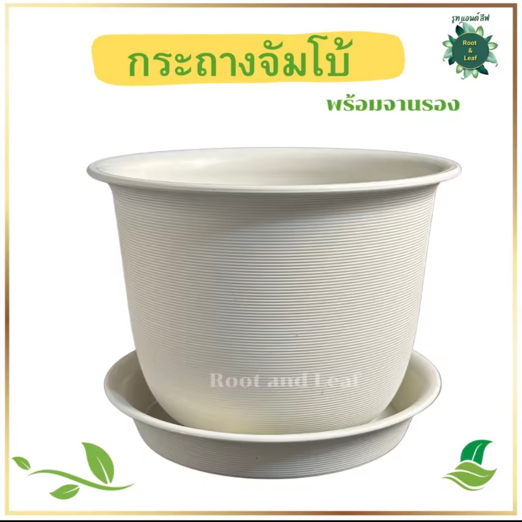 กระถางต้นไม้มินิมอลสีขาว(รุ่นจัมโบ้) กระถางพลาสติกเกรด A แข็งแรงทนทาน ไม่รั่วซึมมีจานรอง มีหลายขนาดให้เลือก