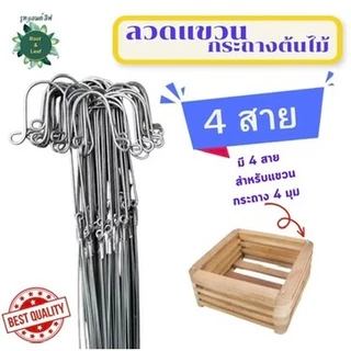 ลวดแขวนกระถางต้นไม้ 4 สาย ยาว 75 cm. ลวดอย่างดีแข็งแรงทนทาน ลวดสี่ขา ลวดแขวนกล้วยไม้ ลวดสี่สาย