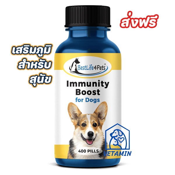 [ 20เม็ด ส่งฟรี ] พร้อมส่ง วิตามินสำหรับสุนัข เสริมภูมิคุ้มกัน Exp.12/26