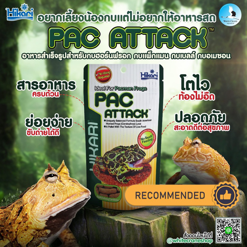 Hikari Pac Attack ขนาด40กรัม🐸 อาหารสำหรับเลี้ยงน้องกบสวยงามในกลุ่มกบฮอร์นฟรอก กบแพ็กแมน กบเบลล์ กบอเมซอน