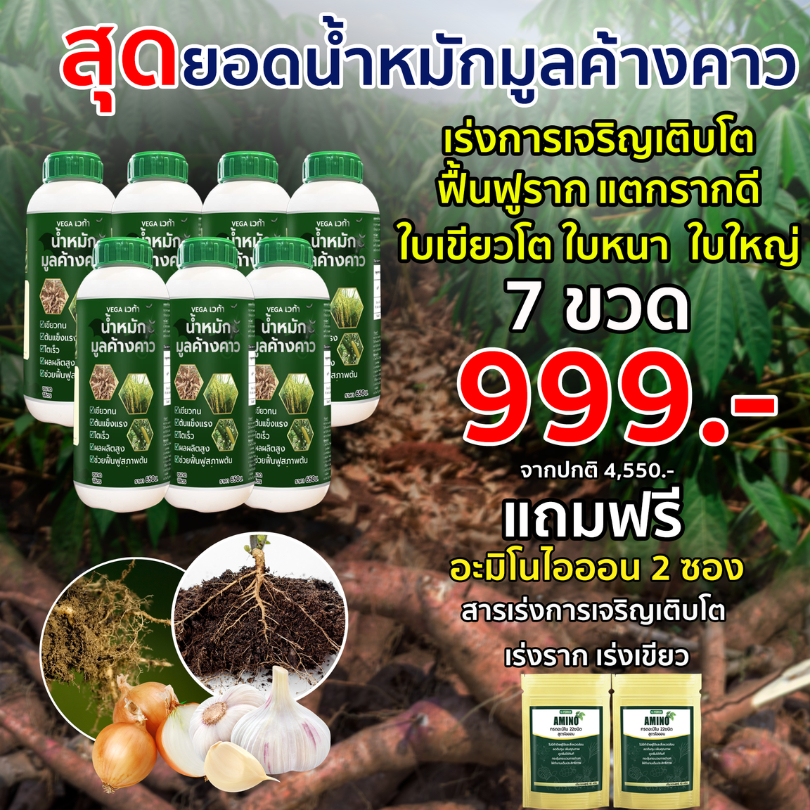 น้ำหมักมูลค้างคาวเวก้า 7ขวด 999.- (แถมอะมิโนไออ้อน 2ซอง) ฟื้นฟูราก แตกยอดใหม่ อินทรีย์แท้