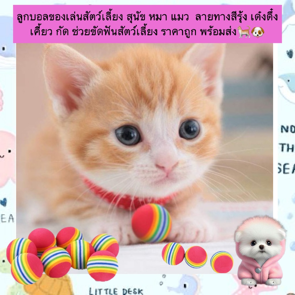 BN-525 ลูกบอลของเล่นสัตว์เลี้ยง สีรุ้งนุ่มเด้ง สำหรับแมวและสุนัขพันธุ์เล็ก น่ารัก เล่นสนุก พร้อมส่ง🎉🐾  🌈 ลูกบอลนุ