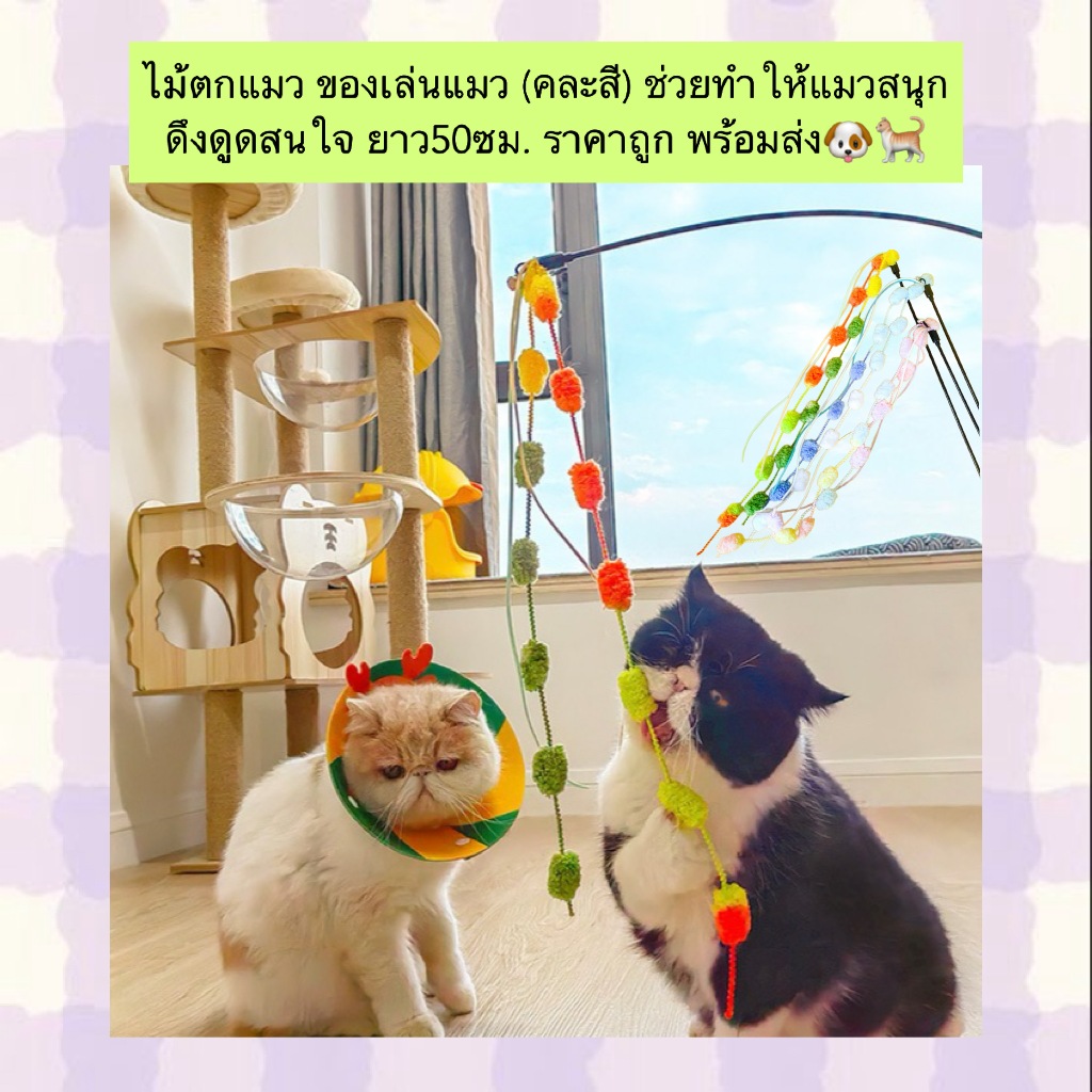 PP-531 ไม้ตกแมว ของเล่นแมวแบบมีปอมและกระดิ่ง (คละสี) – ความยาว 50 ซม. พร้อมส่ง ราคาสุดคุ้ม! 🐱