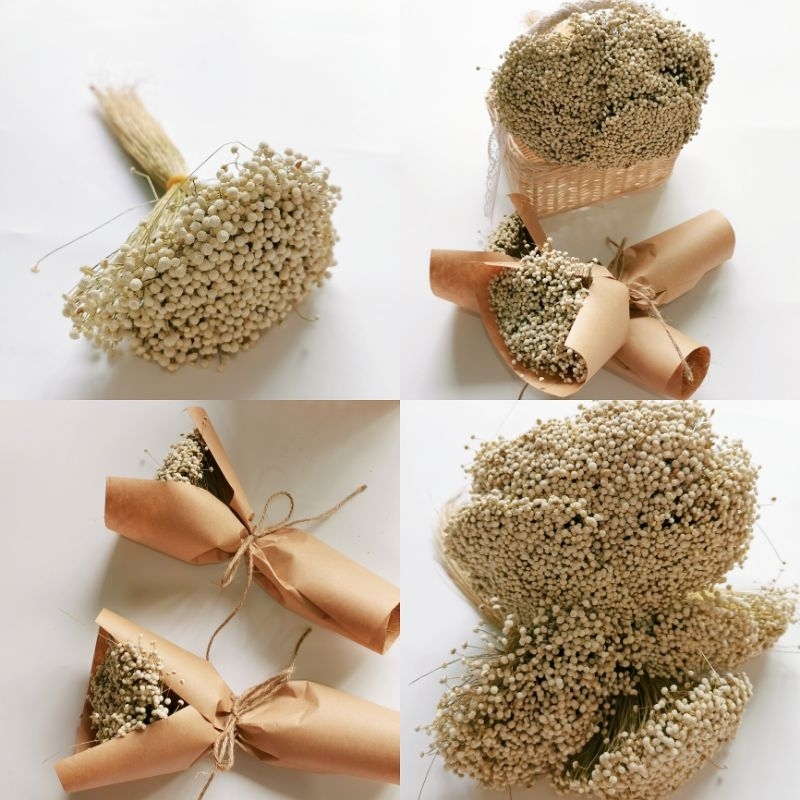 •พร้อมส่ง•ดอกละอองดาวแบบแห้งเก็บไว้นานไม่เหี่ยว