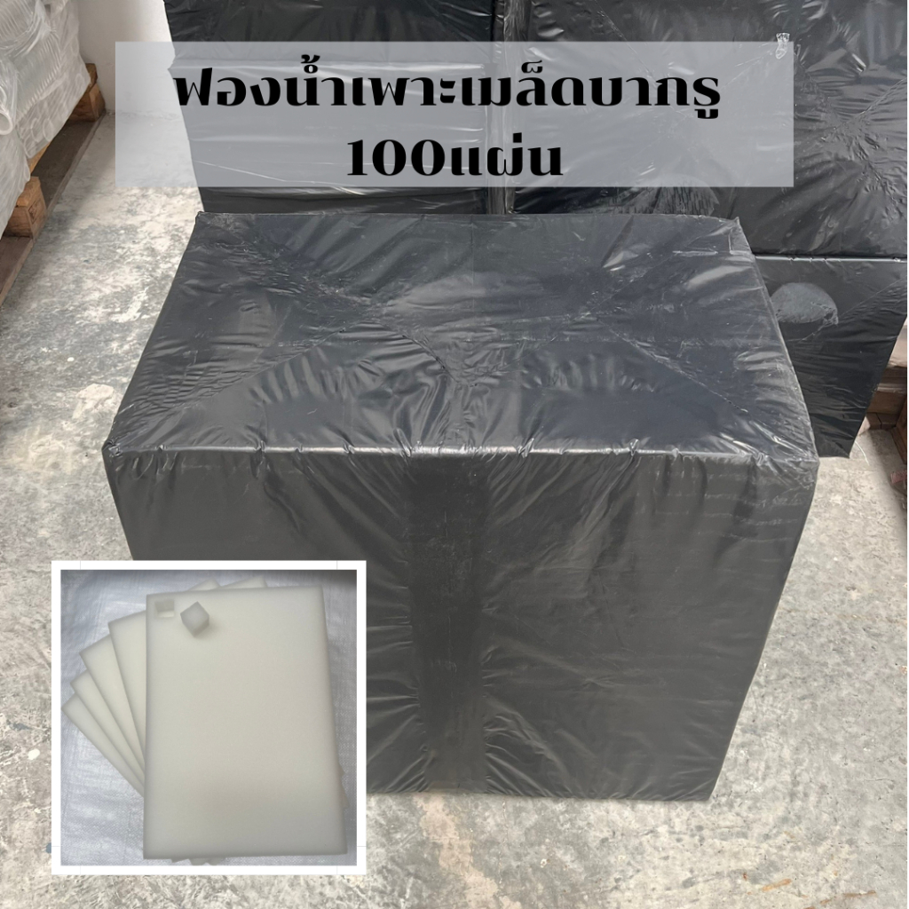 ฟองน้ำเพาะเมล็ดบากรูพร้อมใช้งาน 100แผ่น