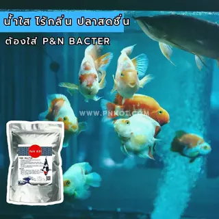 น้ำใส ไร้กลิ่น ด้วย P&N BACTER