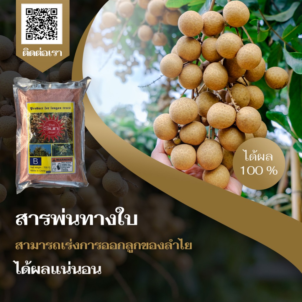 สารลำไย สูตรสำเร็จ เป็นชนิดใช้ พ่นใบลำไย เพื่อเร่งการออกดอกลำไย  สูตรเร่งดอกลำไยแบบสำเร็จ