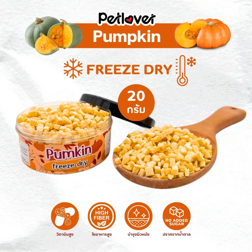 Pumpkin ฟักทอง ฟรีซดราย ไร้น้ำตาล ไร้เกลือ อาหารนกแก้ว และสัตว์ฟันแทะทุกชนิด (กระปุก 20G)