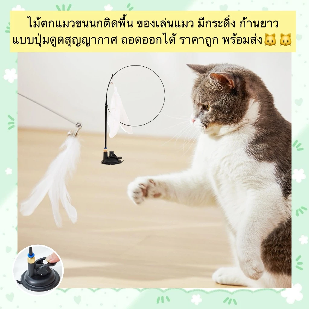 AL-801 ไม้ตกแมวขนนกติดพื้น ของเล่นแมว มีกระดิ่ง ก้านยาว แบบปุ่มดูดสุญญากาศ ถอดออกได้ ราคาถูก พร้อมส่ง🐱🐱