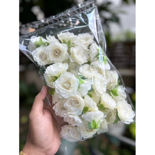 กลีบอัดกล้วยไม้กลีบมัดดอกข่ากระดิ่ง ลายดั้งเดิม ลายเปลือกหอย