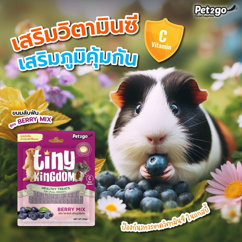 Tiny Kingdom Healthy Treats for Small Rodent (50g.) ขนมลับฟัน สูตร Berry Mix สำหรับสัตว์ฟันแทะ