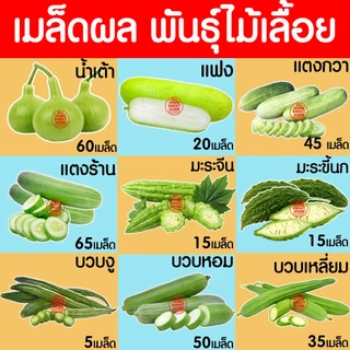 *โค้ดส่งฟรี* ผักไม้เลื้อย เมล็ดผัก เมล็ดตระกลูแตง (2,000เมล็ด+) เมล็ดพันธุ์ เมล็ดพันธุ์ผัก งอกดี ปลูกผัก Clearance