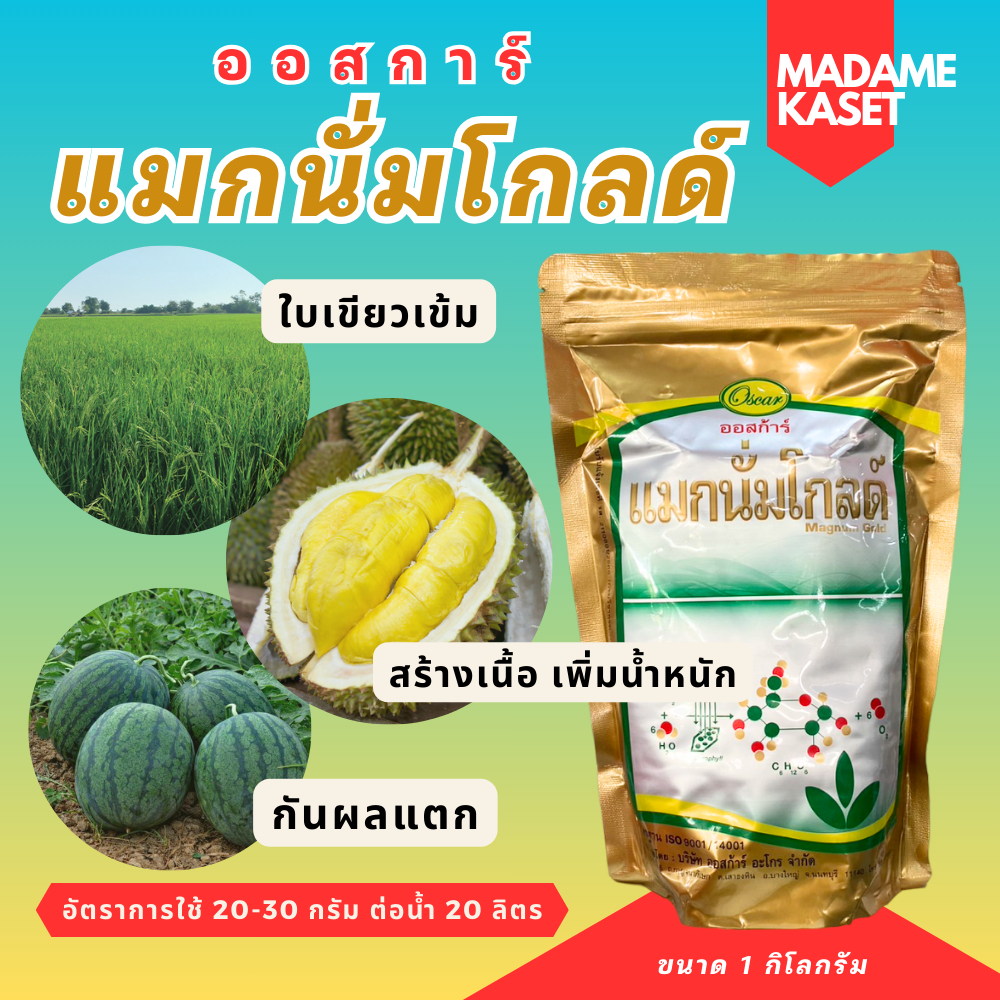 แมกนั่มโกลด์ ใบเขียวเข้ม ดูดซึมเร็ว เพิ่มผลผลิต เพิ่มน้ำหนัก 1 กิโลกรัม