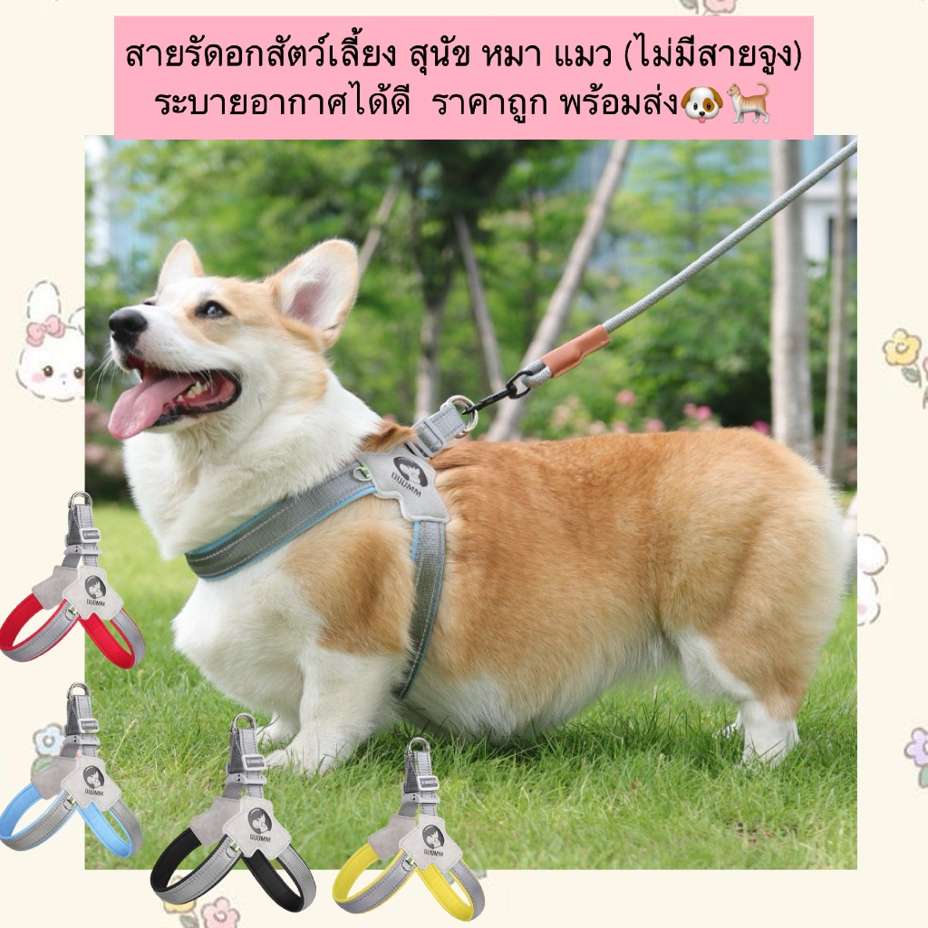 PP-837 สายรัดอกสัตว์เลี้ยง สำหรับสุนัข 🐶 หมา และแมว 🐱 (ไม่มีสายจูงแถม) ระบายอากาศดี ใส่สบาย ราคาประหยัด พร้อมส่งทันที!