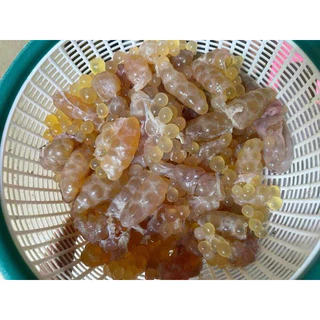 ไข่ปลาริวกิว 🐟(190-200g.) ⚡️ส่งด่วน 🔥ค่าส่งเหมา ✅คละได้ทั้งร้าน❗️ 🚚💨ส่งขนส่งรถแช่เย็น🎉ฟรี ลังโฟมทุกจังหวัด