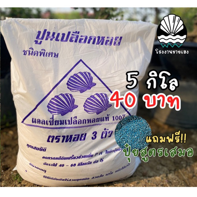 ถูกที่สุด💥 ปูนเปลือกหอย 5 กิโล ☘️รากเเข็งเเรง โรคพืชหายขาด ไล่แมลง มด หอยทาก บรรจุ 4.5 kg.
