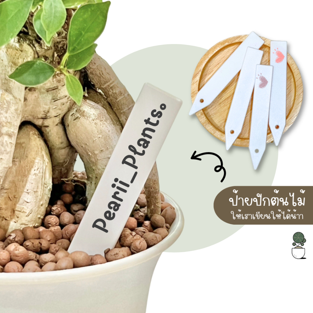 ป้ายปักต้นไม้ ป้ายชื่อต้นไม้ ป้ายอวยพร ฝากเขียนข้อความได้น้าา อุปกรณ์ตกแต่งต้นไม้เล็กๆ 1.5*8cm