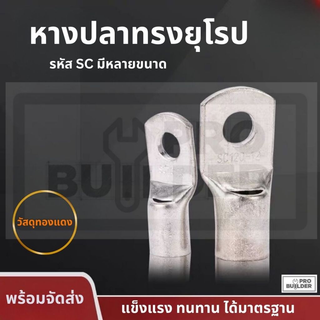 หางปลาทองแดงชุบดีบุก ทรงแบบยุโรป มีสินค้าหลายขนาด