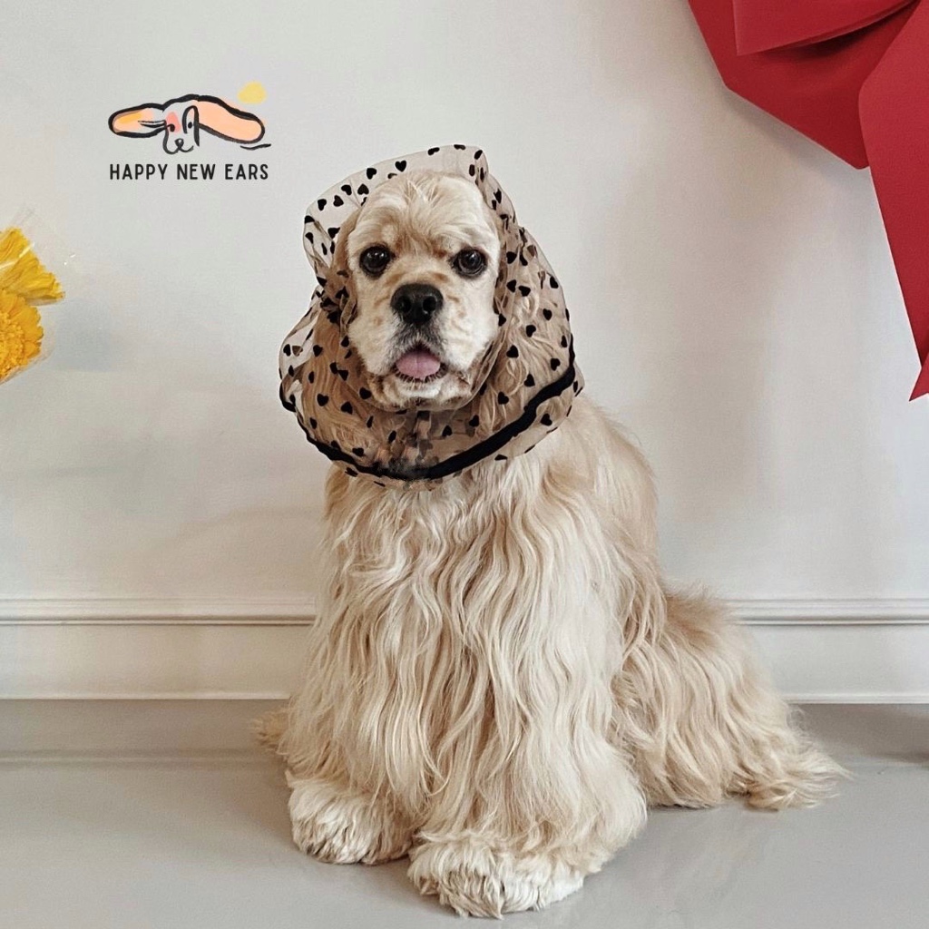 ที่เก็บหูสุนัข HAPPY NEW EARS - Dog Snood สำหรับสุนัขหูยาวขนาดกลาง ทรง Tube กันหูเปียกน้ำอาหาร ป้องกันหูอักเสบหูเหม็น