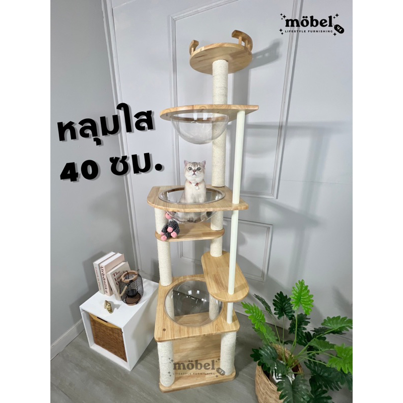 [ส่งฟรี ]คอนโดแมวไม้ยางพารา สูง2เมตร สำหรับแมวจ้ำม่ำ/แมวพันธุ์ใหญ่ มี3หลุม อ่างใสใหญ่พิเศษ ราคา ถูกที่สุด ดีลบีเคเค รูปภาพหลัก