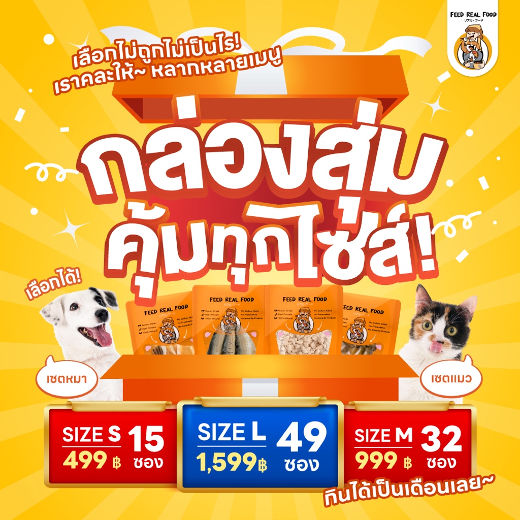 (กล่องสุ่ม) อาหารหมา อาหารแมว ปลานึ่งก้างนิ่ม  อาหารเปียก ขนมหมา ขนมแมว Feed Real Food