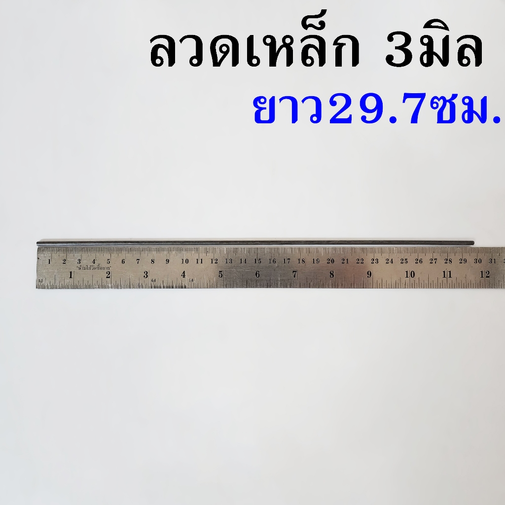 ลวดเหล็ก 3มิล (เบอร์#11) รีดตรง ยาว29.7ซม.