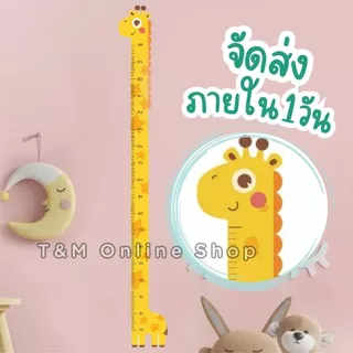 สติ๊กเกอร์วัดส่วนสูง PVC.กันน้ำ สติ๊กเกอร์ติดผนัง Wall Sticker ที่วัดส่วนสูงเด็ก 180 Cm. ส่งจากไทย ส่งภายใน1วัน
