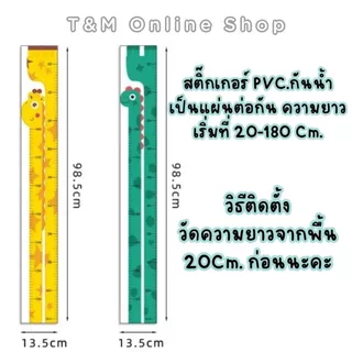 สติ๊กเกอร์วัดส่วนสูง PVC.กันน้ำ สติ๊กเกอร์ติดผนัง Wall Sticker ที่วัดส่วนสูงเด็ก 180 Cm. ส่งจากไทย ส่งภายใน1วัน