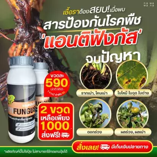 แอนติฟังกัส (โปร 1 ขวด) สารป้องกันและกำจัดเชื้อรา