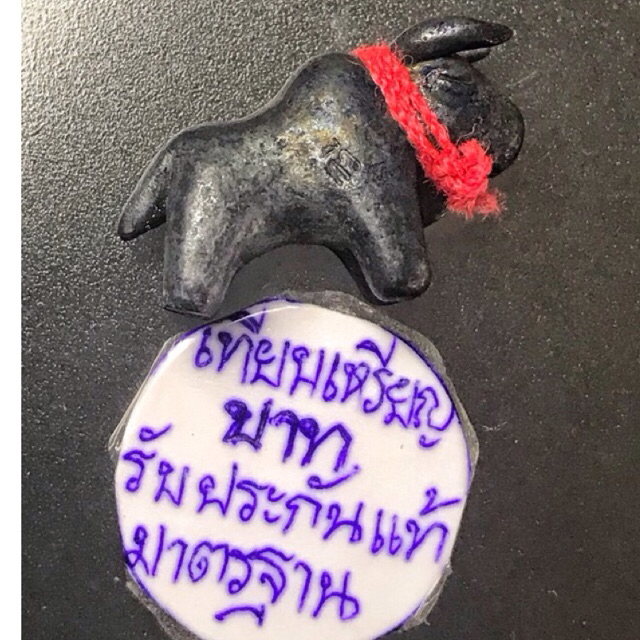 วัวธนู  เหล็กนพสูรย์ ยอด ปราสาท  หลวงปู่ ทวี สูตรต้นตำรับ หลวงพ่อน้อย วัดศรีษะทอง เก่าเก็บปี 2557