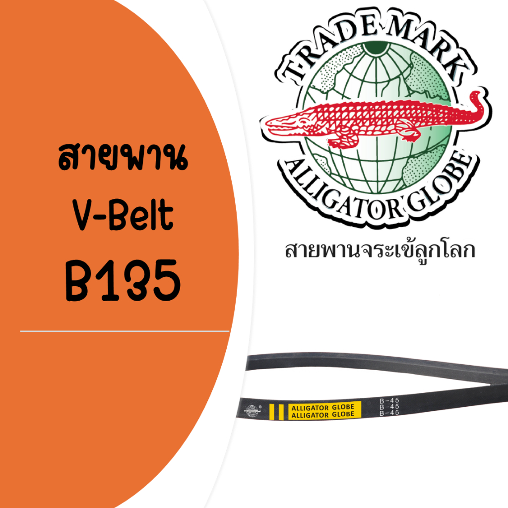 สายพาน จระเข้ลูกโลก B135