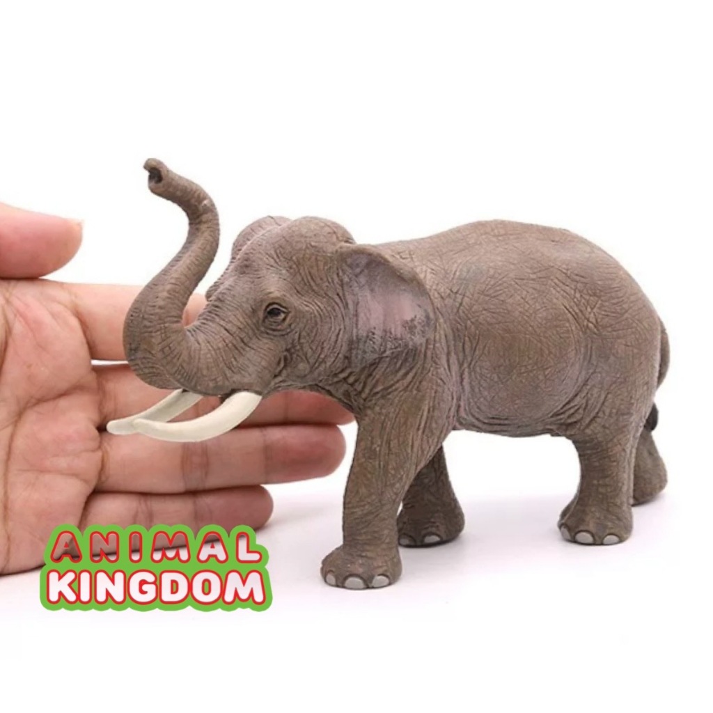Animal Kingdom - โมเดลสัตว์ ช้าง เอเชีย ขนาด 16.00 CM (จากสงขลา)
