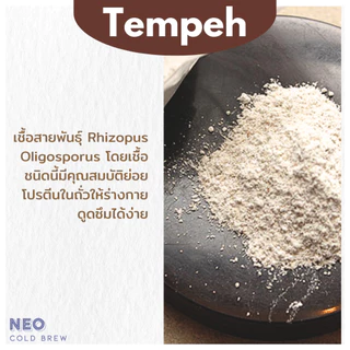 หัวเชื้อเทมเป้ ผงหัวเชื้อเทมเป้ 100กรัม Tempeh Starter100g เทมเป้ เตมเป ถั่วเหลืองหมัก มังสวิรัติ เจ กินเจ