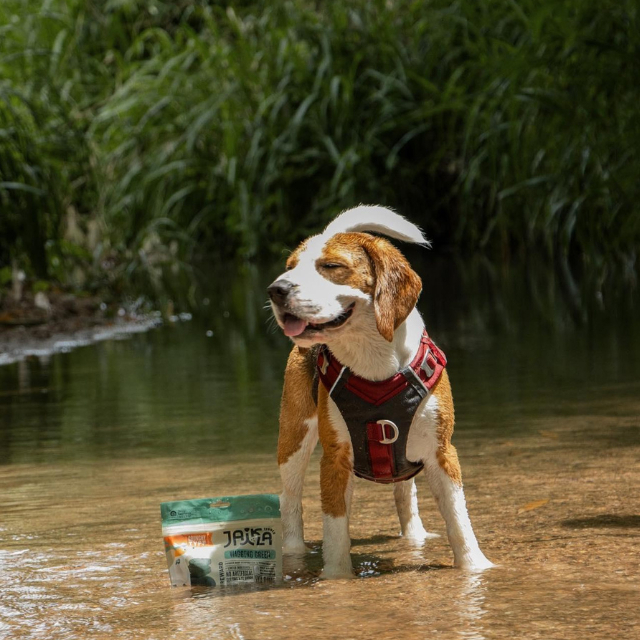[3 Packs] JAIKLA ขนมสุนัขเพื่อสุขภาพ สูตร WAGGING GREEN ควบคุมน้ำหนัก ช่วยเผาผลาญไขมันส่วนเกิน - รูปที่ 4