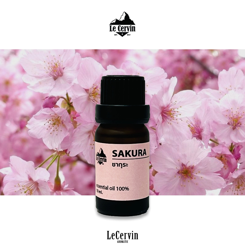 LeCervin น้ำมันหอมระเหย 100 % กลิ่นซากุระ (Pure Sakura Fragrance oil)